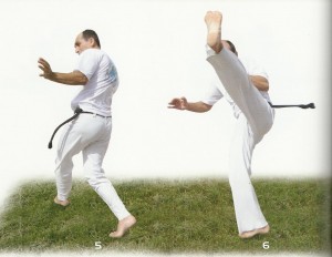 Source: Capoeira Les bases techniques par Mestre Paulinho Sabia, I-Prod